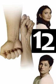 12 (2017)