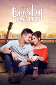 The Breakup Playlist (2015)